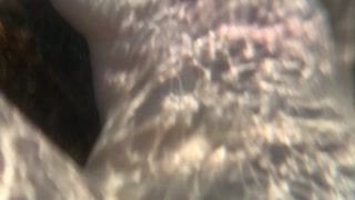 watching my naked girlfriend underwater in the sea