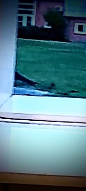 Masturbating on the way to shower, seeing a stranger got an eye on my cock.