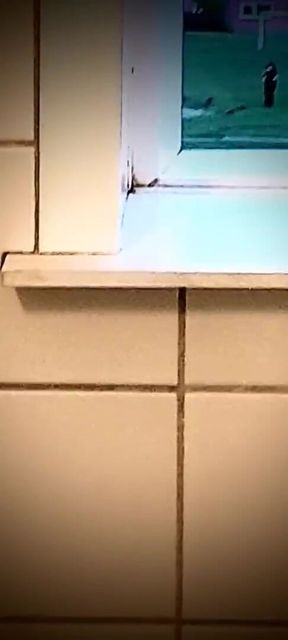 Masturbating on the way to shower, seeing a stranger got an eye on my cock.