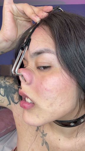 Turned in to Piggy