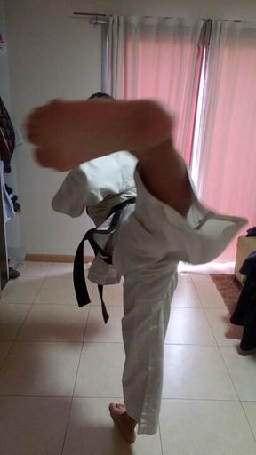 REAL black belt face kicks.
