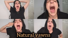 Natural yawns