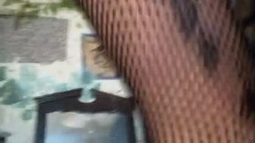 Fill My Desperate Pussy With Your Seed