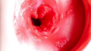 This luxurious slit is pulsing and wringing my man sausage! Camera inwards the fuck-hole!