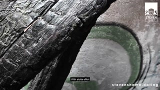 AnastasiaXXX and Candy Alexa boned in PUBLIC! stevenshame.dating