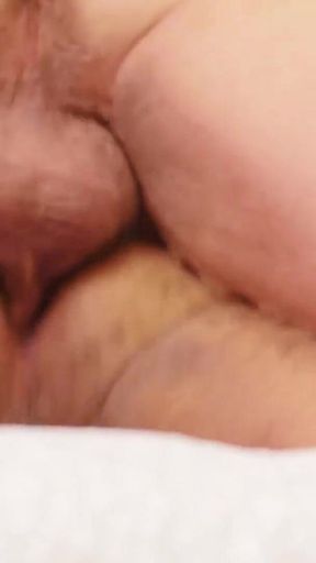BEARFILMS Chubby hairy bears Lion Reed and Luis Vega Breed