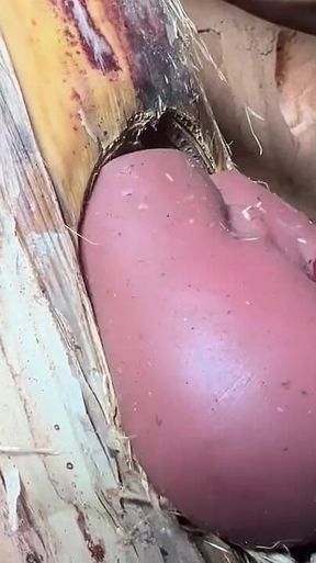 The Prisoner Find Hard Way to Sex