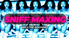 Sniff Maxing
