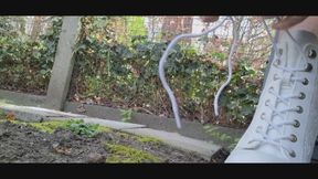 Popcorn garden crush