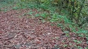 Outdooor Blowjob