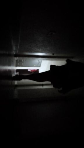 Shadows, heels, and a dress.