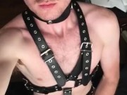 Leather Harness