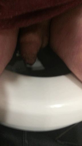 Cock in toilet