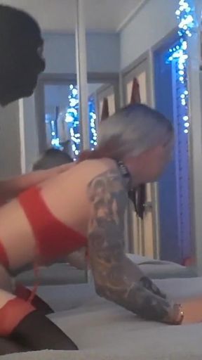 Skinny Transgender Gets Fucked Stupid