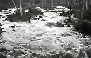 Entre la mer et l'eau douce 1967
