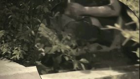 boy sucks a guy he found jerking-off in the street