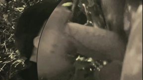 boy sucks a guy he found jerking-off in the street