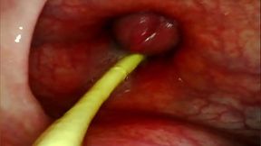 Deep anal pounding and creampie for the anal slut
