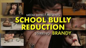 School Bully Reduction HD