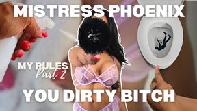 Tiny Dick Loser Cleans Like a Bitch
