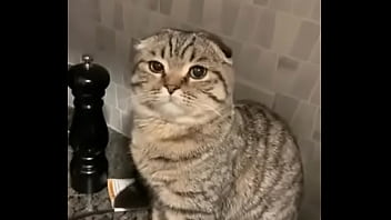 Jogando videogame com a amiga safada mas ela me pegou desprevinido