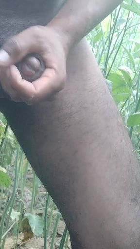 Fucked aunty in mustard field   Clip 2