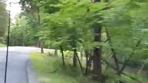 Scenic Drive