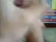 Antes de la universidad