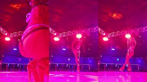 dakota marr stripper at deja vu tampa