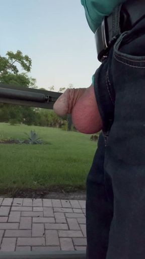Exposing Myself To The Neighbors