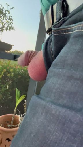Exposing Myself To The Neighbors