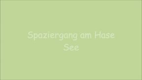 Walk from Hasesee to the city center