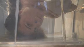 Talking Underwater ORDER a