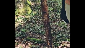 Quatrieme jour de vacances je me balade dans les bois a la recherche d un ...