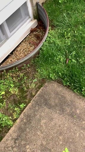 Caught Masturbating by BF