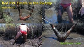 Red PVC Briefs in the Swamp, 2026-06-23