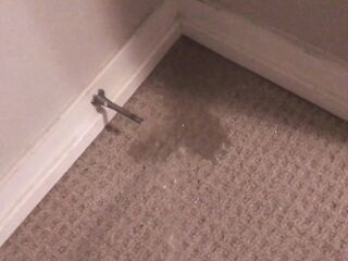 Peeing on My Bedroom Carpet in the Midst of the Night