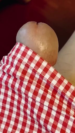 Well, There Was My Softie