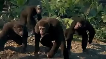 pero cayeron desde un pent-house, en mi ojo un teclado y un moussee