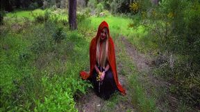 unusual story of the red riding hood SD