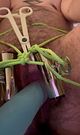 bdsm ftm trans boy uses ropes and clamps to make himself wet before getting stretched