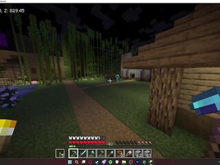 MINECRAFT ABODE TRAVEL two - GREATER AMOUNT PEOPLE TO PLAY WITH