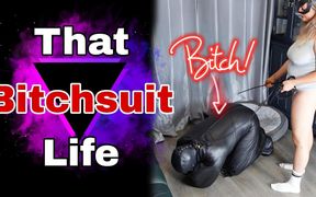 That Bitchsuit Life Femdom Slave Bondage
