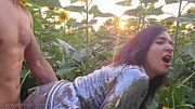 Caught Red-Handed: Step dad and Me Going at It Hard in the Sunflower Field-Hi to Husband 💦🖕