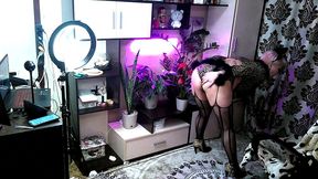 peter stone: if you want family happiness, marry a whore! )) two sides of our marital bedroom and a leopard mood...))