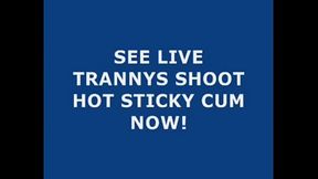 Live Tranny Cum 69