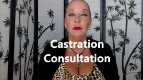 Castration Consultation HD (MP4)