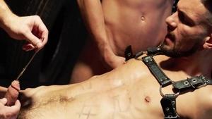 SUBMIT