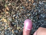 My little phimosis penis erects