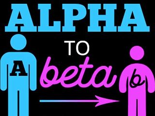 From Alpha to Beta Full Version